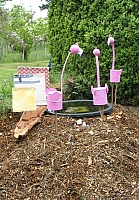 03_Flamingos.jpg